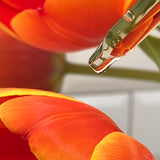 Teaology Peptide Infusion - serum peptydowe do twarzy